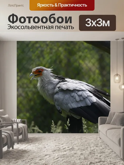 Фотообои Буковые горы