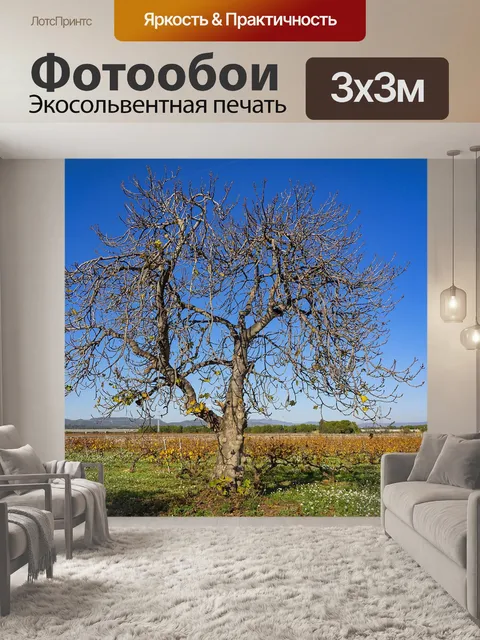 Фотообои Дерево