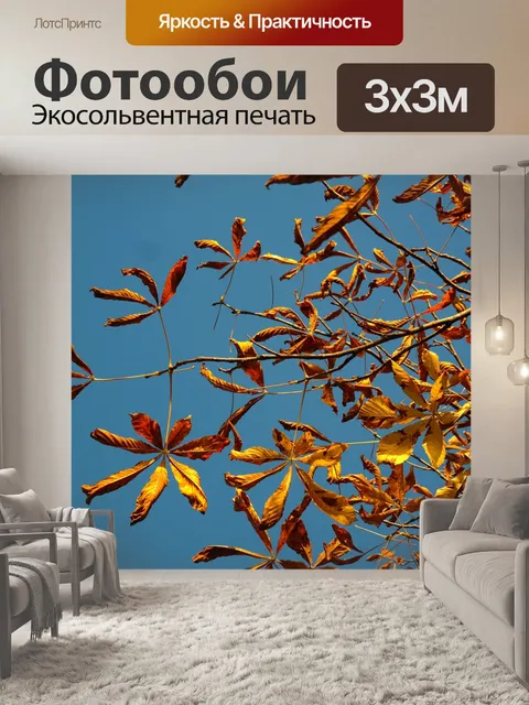 Фотообои Осенние листья