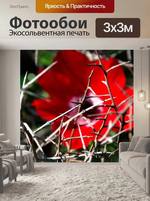 Фотообои Красный цветок анемона с шипами