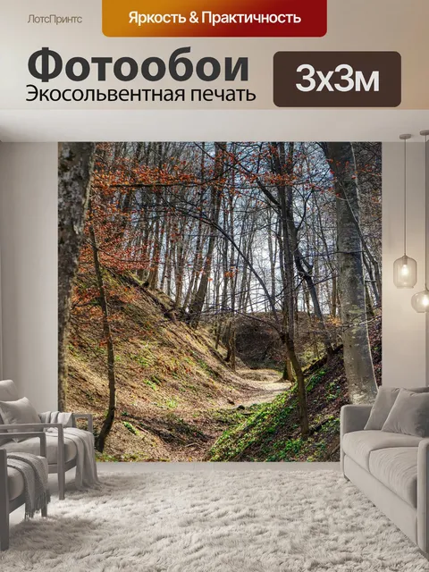 Фотообои Лес