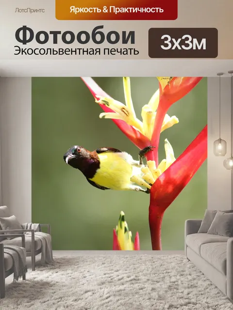 Фотообои Керала