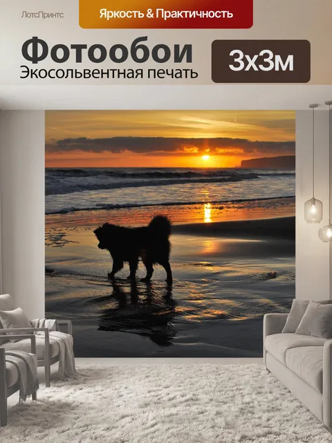 Фотообои Восход солнца