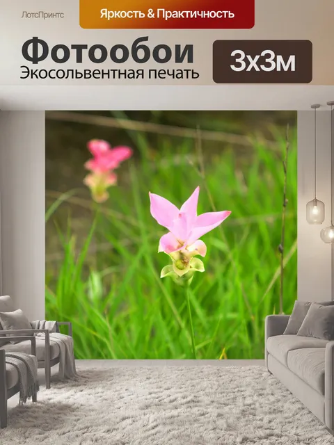 Фотообои Сиам тюльпан цветок Па Хин Нгам