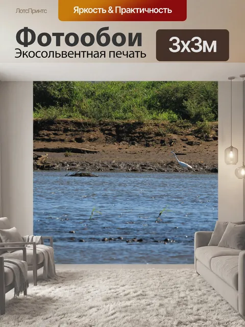 Фотообои Коста-Рика Белый Журавль