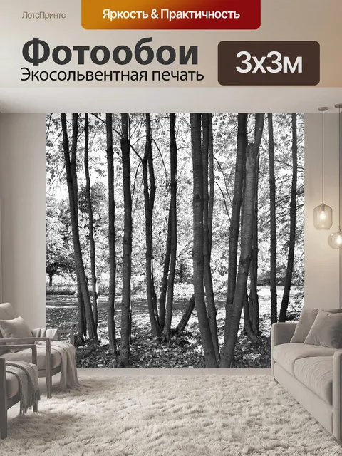 Фотообои Деревья