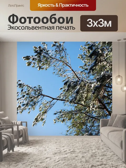 Фотообои Снежный сосны