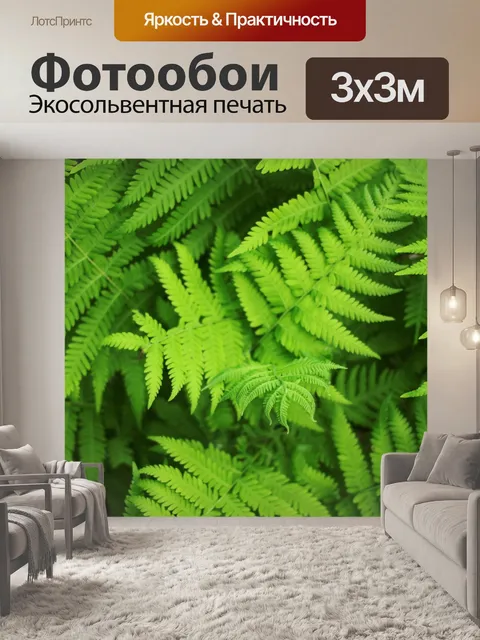 Фотообои Листья папоротника