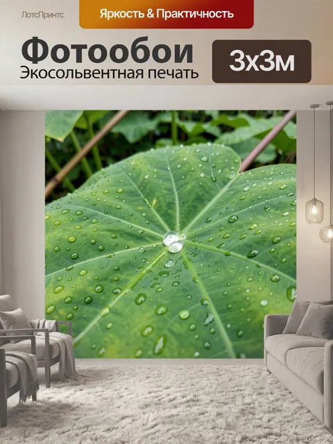 Фотообои Крупный лист с каплями воды