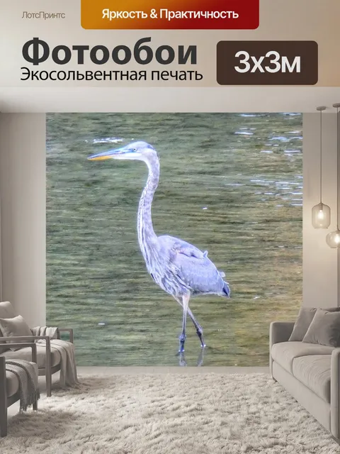Фотообои Голубая цапля