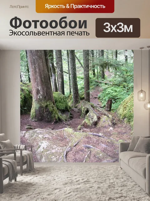 Фотообои Лес