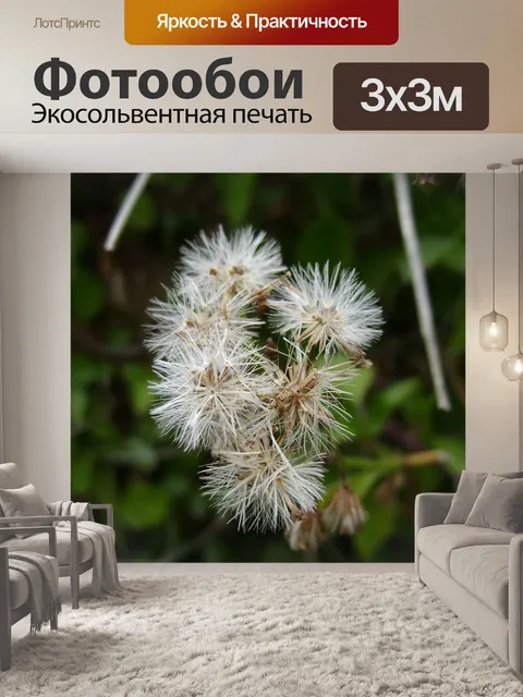 Фотообои Соцветие