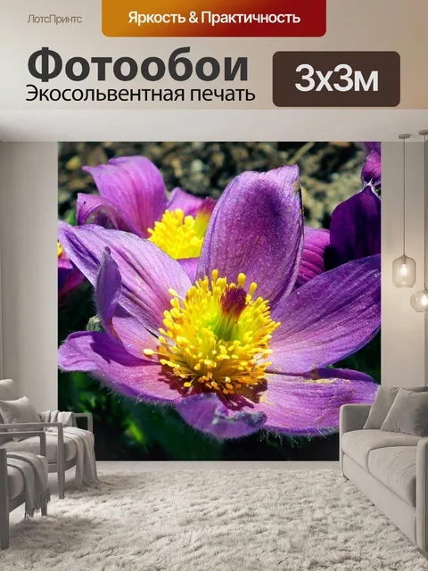 Фотообои Цветы