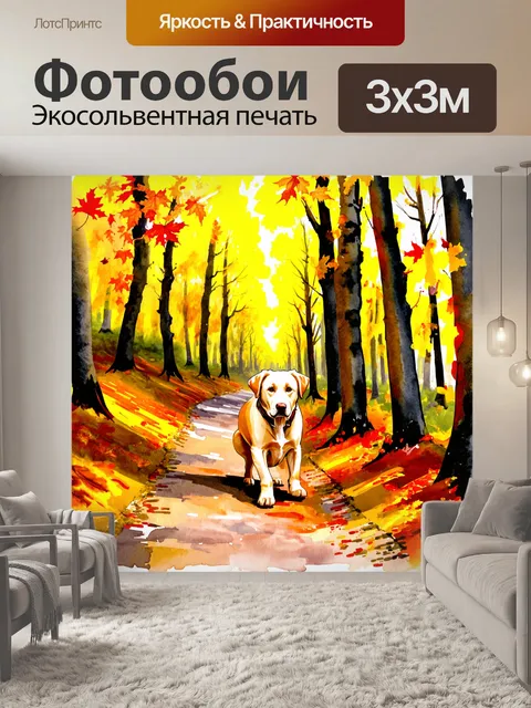 Фотообои лабрадор, исследующий лесную тропу осенью, окружающие деревья окрашены в яркие желтые и красные цвета