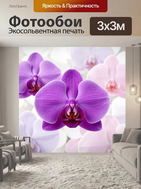Фотообои Орхидеи в нежных пастельных тонах