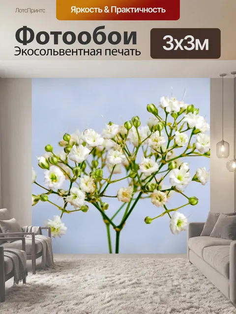 Фотообои Цветы