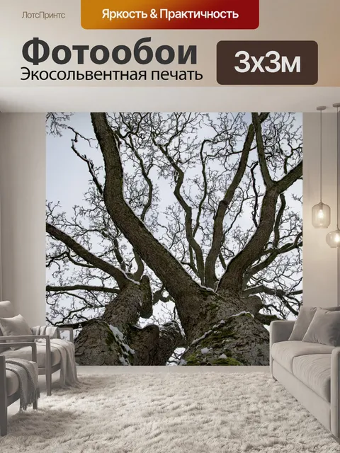 Фотообои Снежный Три отделения