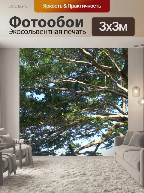 Фотообои Филиалы и листья