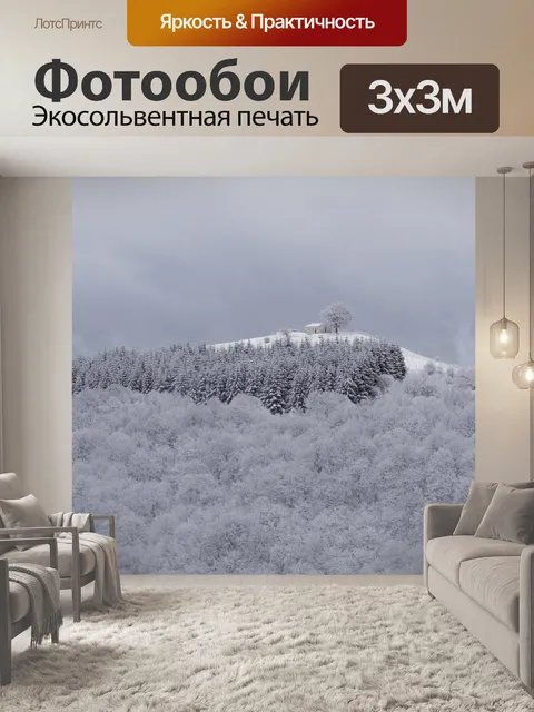 Фотообои Снег