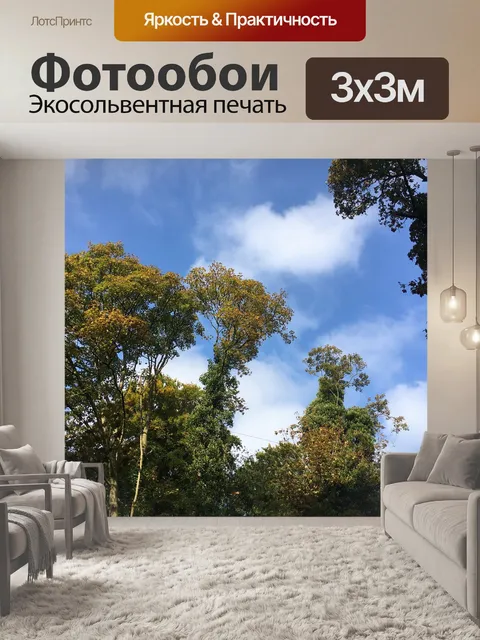 Фотообои Деревья