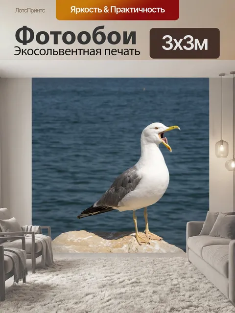 Фотообои Чайка