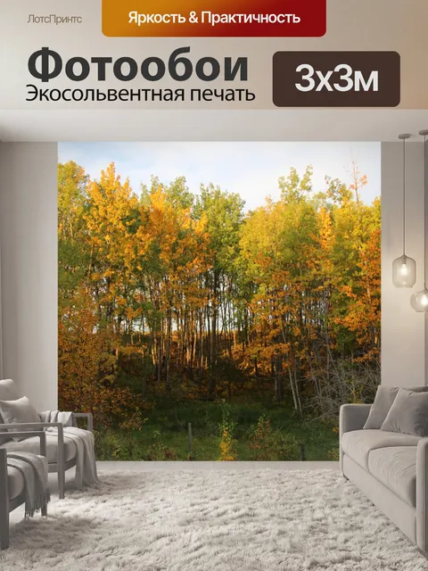Фотообои Осенние листья