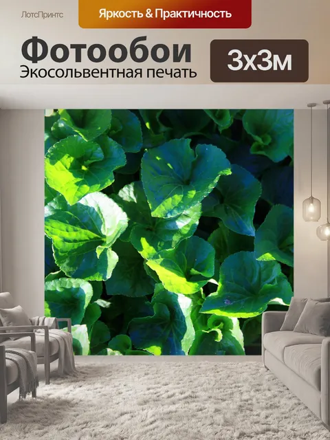 Фотообои листья фиалки
