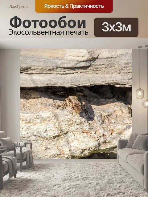 Фотообои Природа