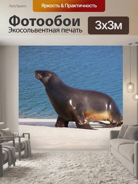 Фотообои Море