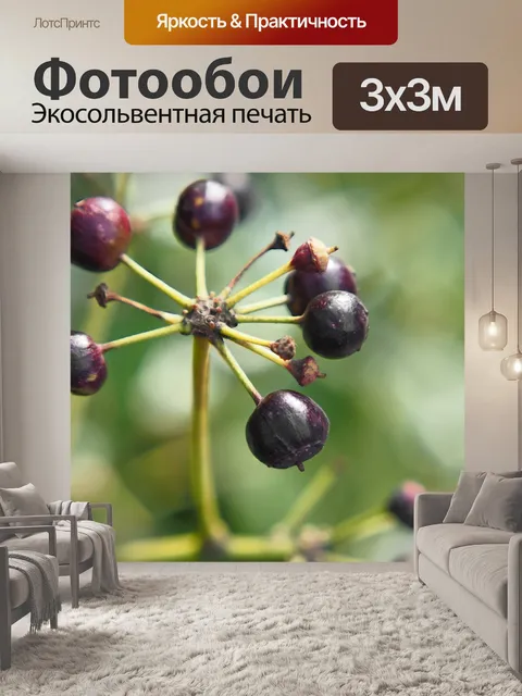 Фотообои Природа