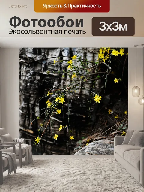Фотообои Зимний жасмин