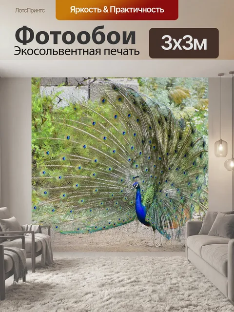 Фотообои Павлин