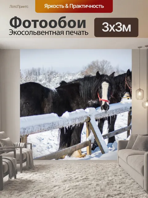 Фотообои Лошади