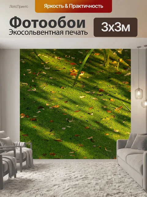 Фотообои Утка на плаву