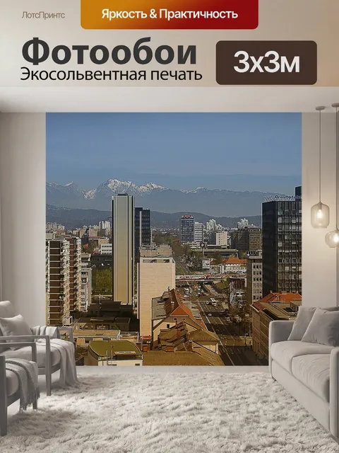 Фотообои Панорама города