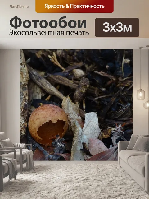 Фотообои Листья