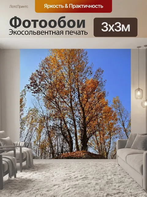 Фотообои Дерево