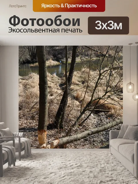 Фотообои Деревья