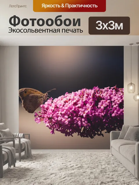 Фотообои Бабочка
