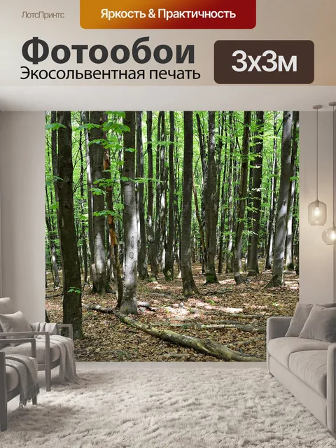 Фотообои Лес