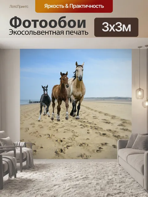 Фотообои Лошади