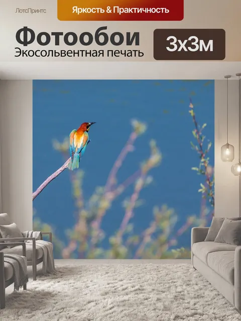 Фотообои Золотистая щурка