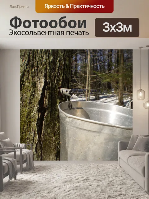 Фотообои Кленовый сироп сезон
