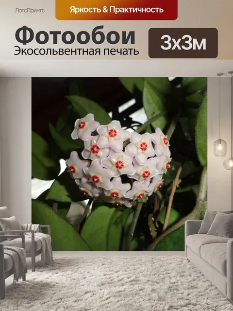 Фотообои Сегодня