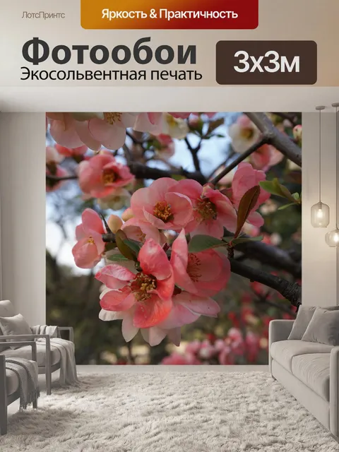 Фотообои Вишня