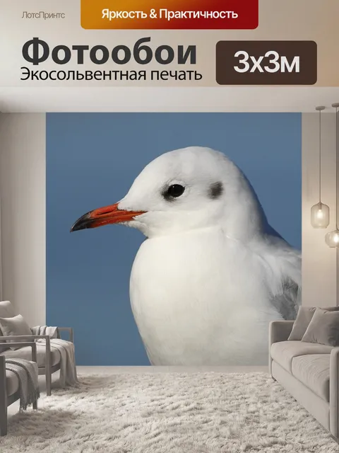 Фотообои Птицы