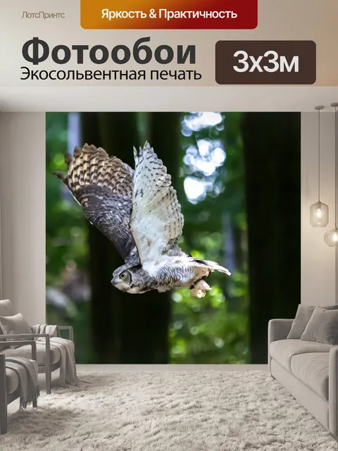 Фотообои Филин