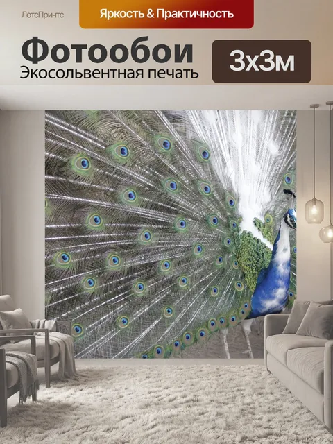 Фотообои Павлин