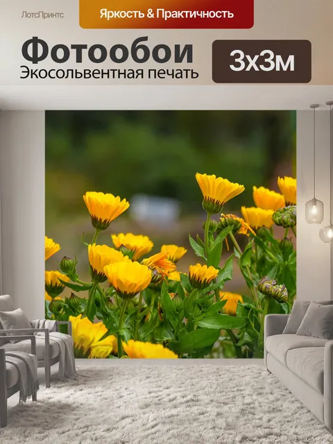 Фотообои Цветы