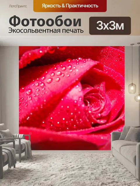 Фотообои Роза